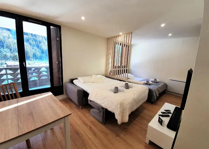 Appartement Grand Aiguille Du Midi Et Vue Mont Blanc