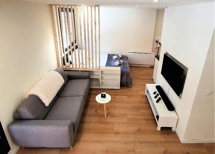 Grand Aiguille Du Midi Et Vue Mont Blanc Chamonix